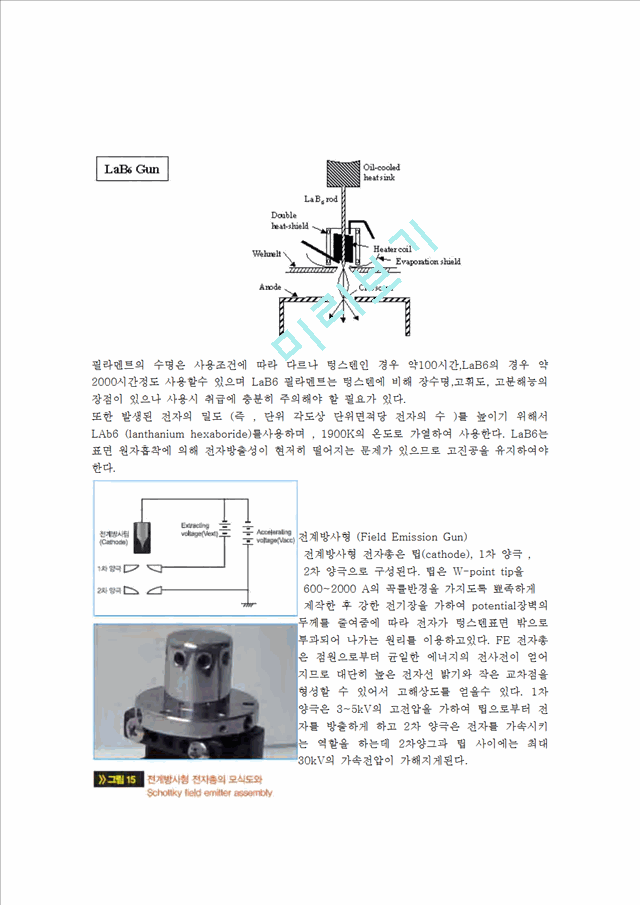 주사전자현미경 이미지